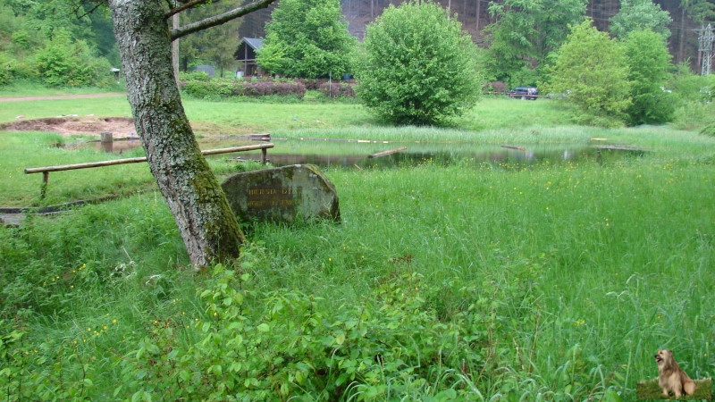 Ritterstein Nr. 202-4a Hier stand der Wolfsaegerhof.JPG - Ritterstein Nr.202 Hier stand der Wolfsaegerhof                               